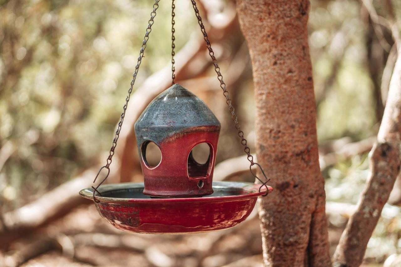 Bussells Bushland Cottages Margaret River ภายนอก รูปภาพ