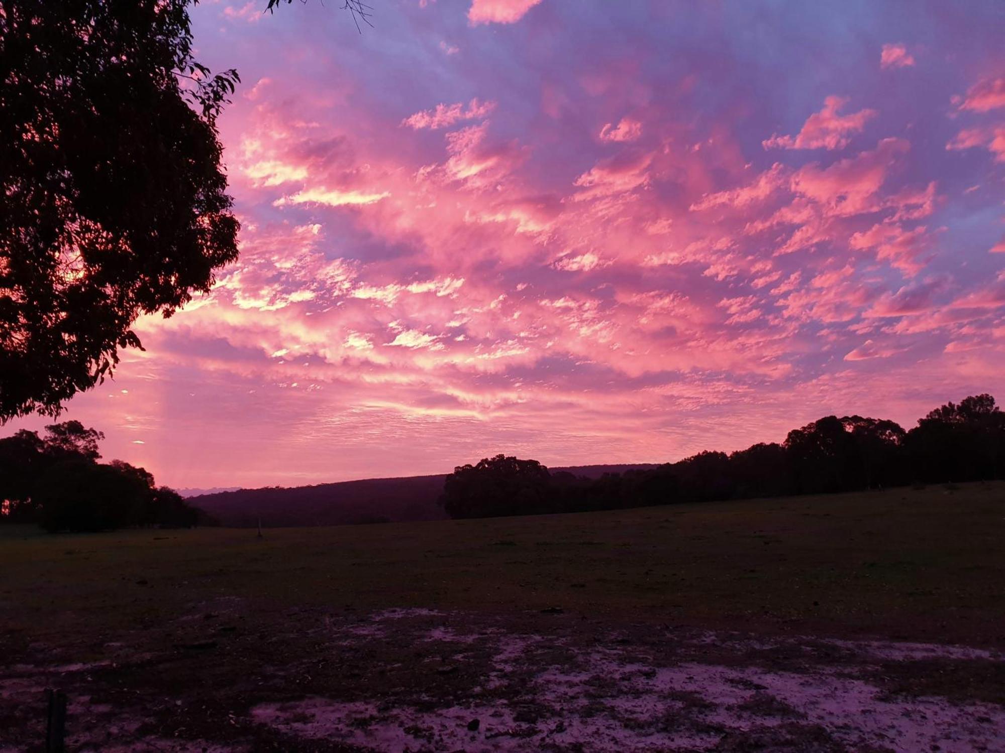 Bussells Bushland Cottages Margaret River ภายนอก รูปภาพ