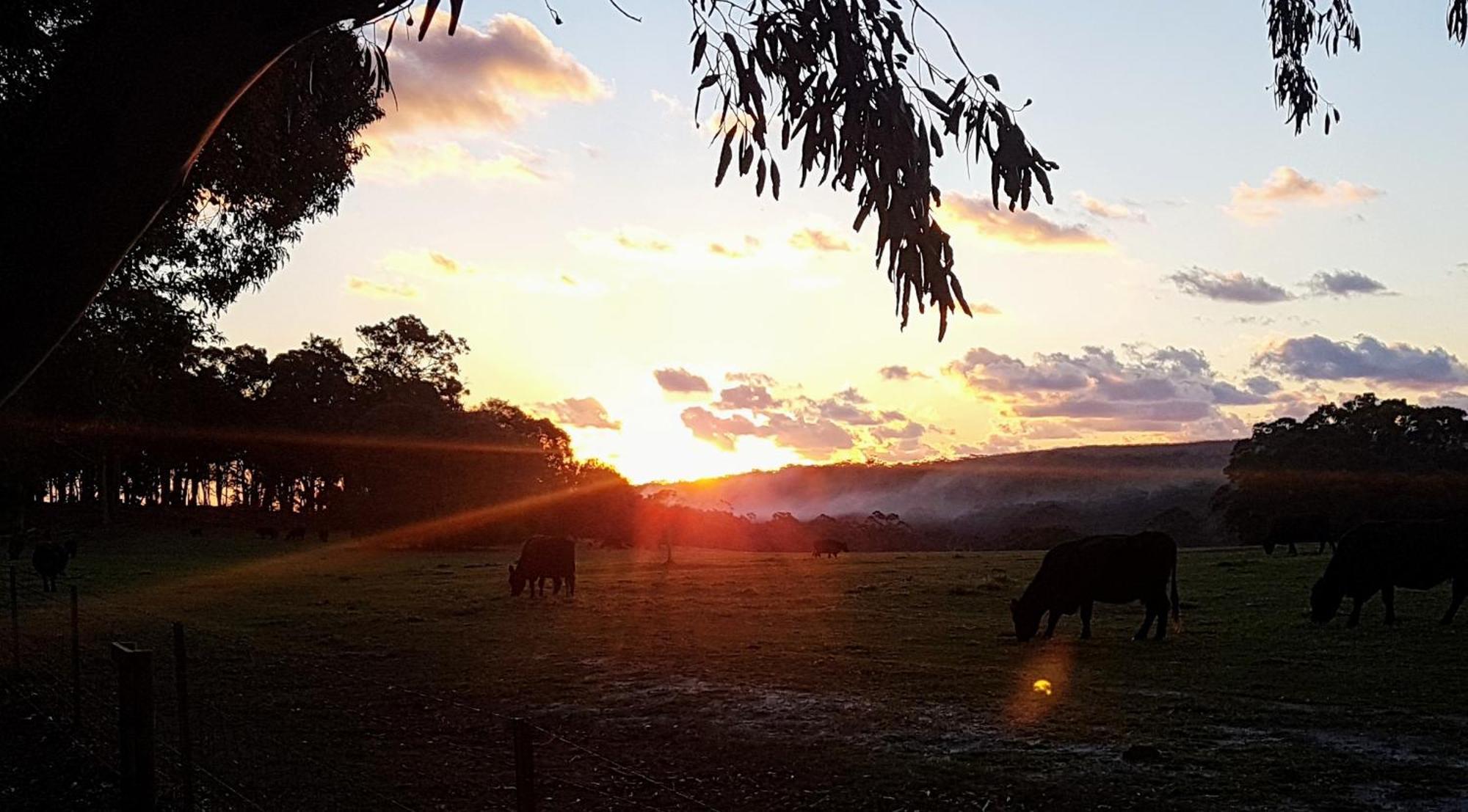 Bussells Bushland Cottages Margaret River ภายนอก รูปภาพ