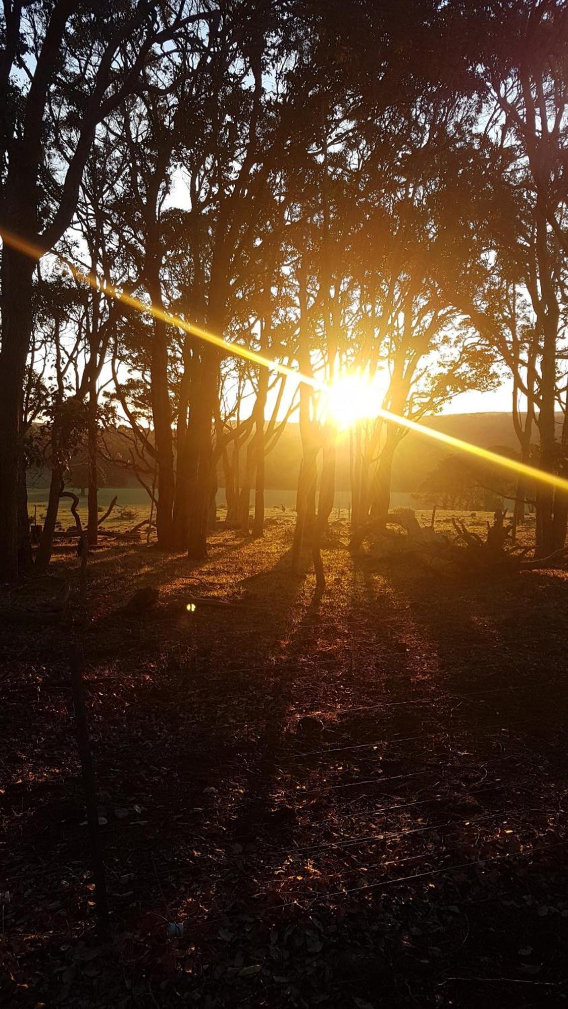 Bussells Bushland Cottages Margaret River ภายนอก รูปภาพ