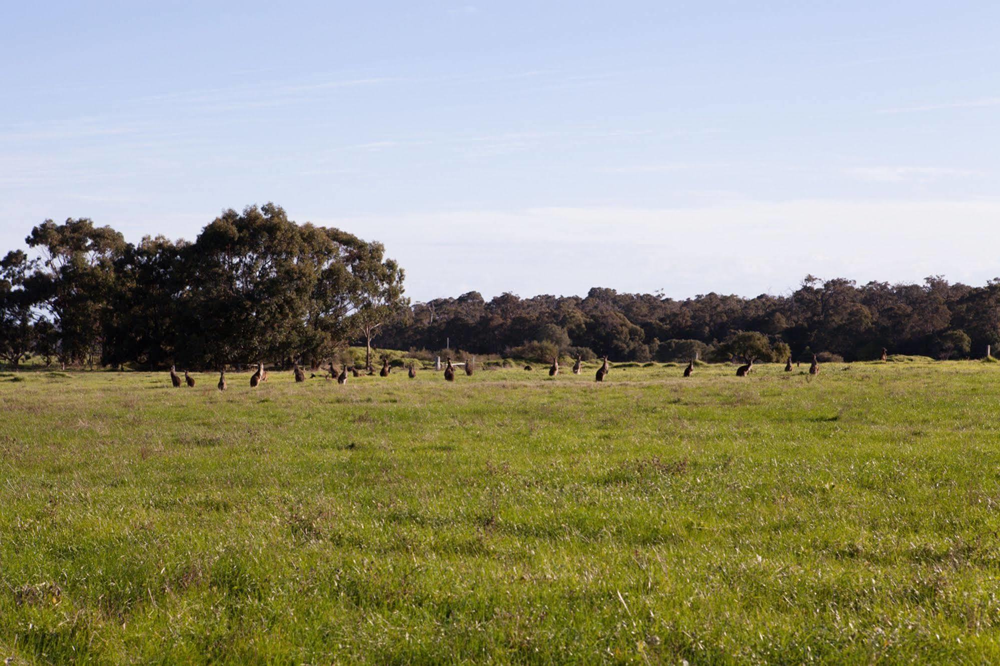 Bussells Bushland Cottages Margaret River ภายนอก รูปภาพ